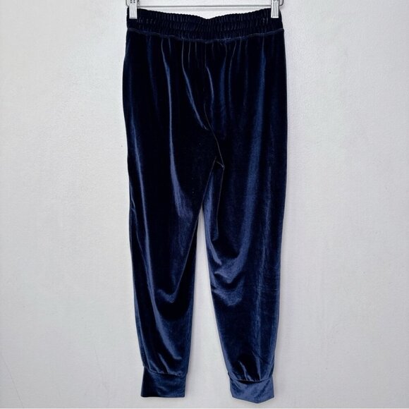 Fabletics Womens Xsmall Velour Blue Jogger - Picture 14 of 15